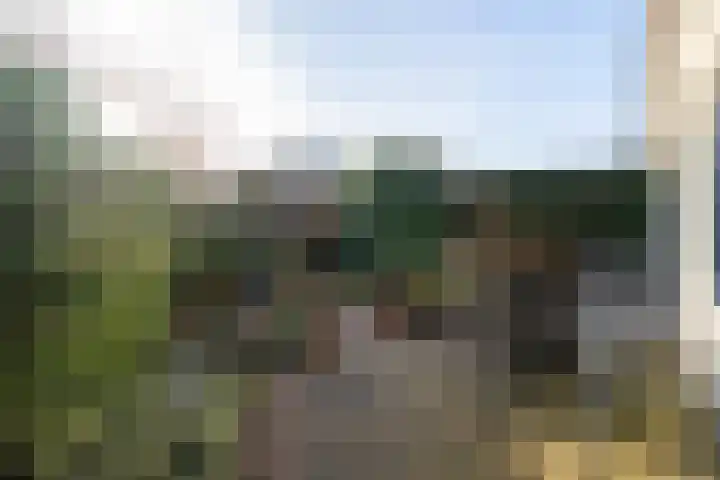 Vlet 1 Werkendam thumbnail 32
