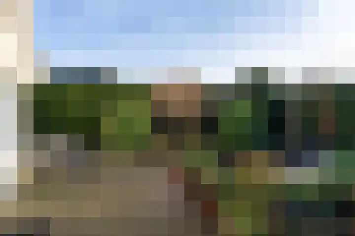 Vlet 1 Werkendam thumbnail 34