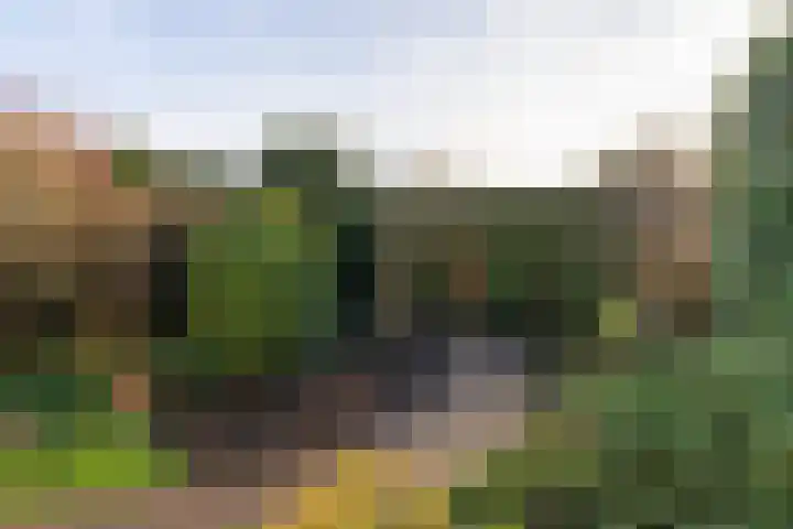 Vlet 1 Werkendam thumbnail 35
