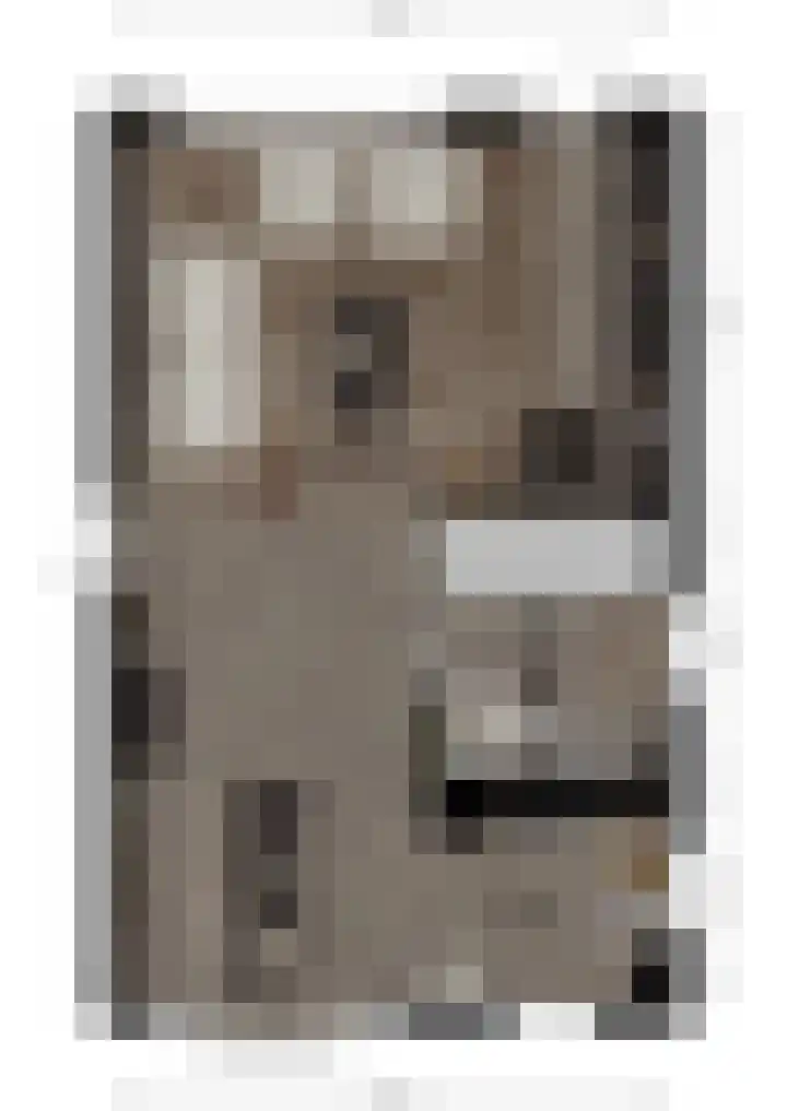 Vlet 1 Werkendam thumbnail 36