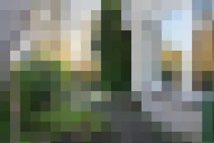 Vlet 1 Werkendam thumbnail 4