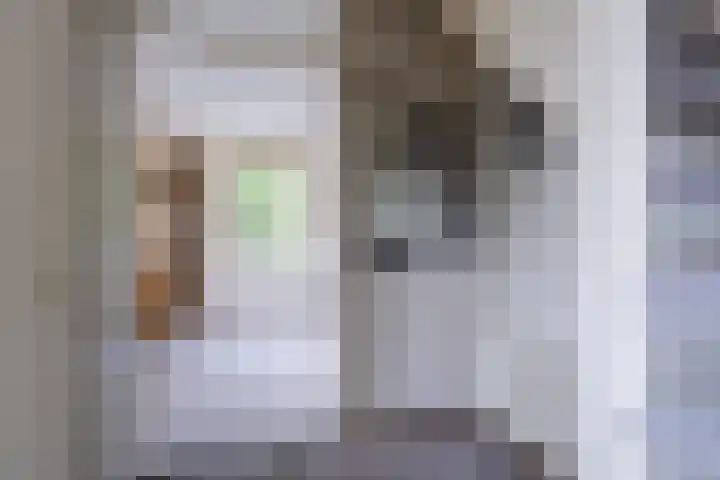 Vlet 1 Werkendam thumbnail 7
