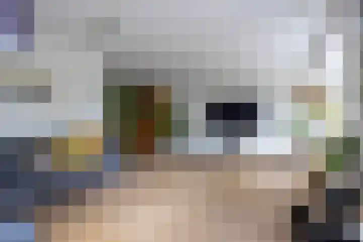 Vlet 17 Zuidhorn thumbnail 14