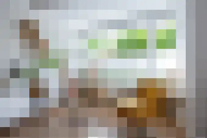 Vlet 17 Zuidhorn thumbnail 15