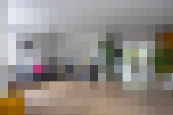 Vlet 17 Zuidhorn thumbnail 16