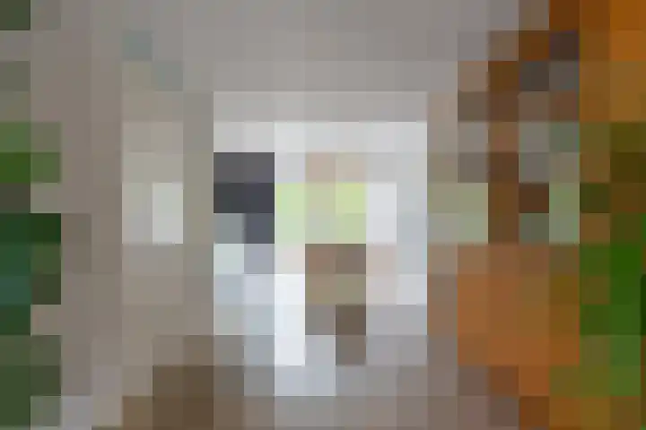 Vlet 17 Zuidhorn thumbnail 17