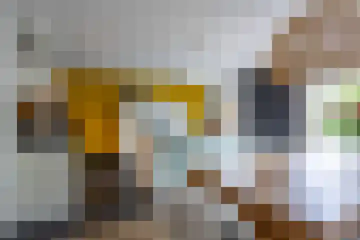 Vlet 17 Zuidhorn thumbnail 18