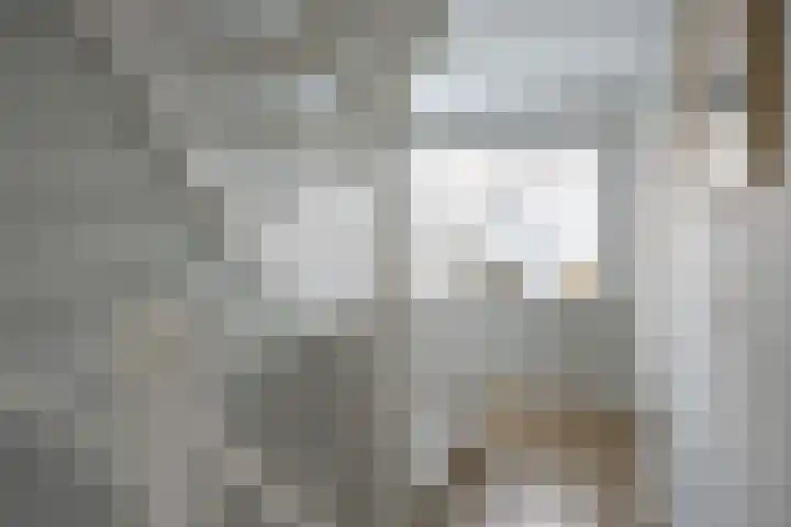 Vlet 17 Zuidhorn thumbnail 24