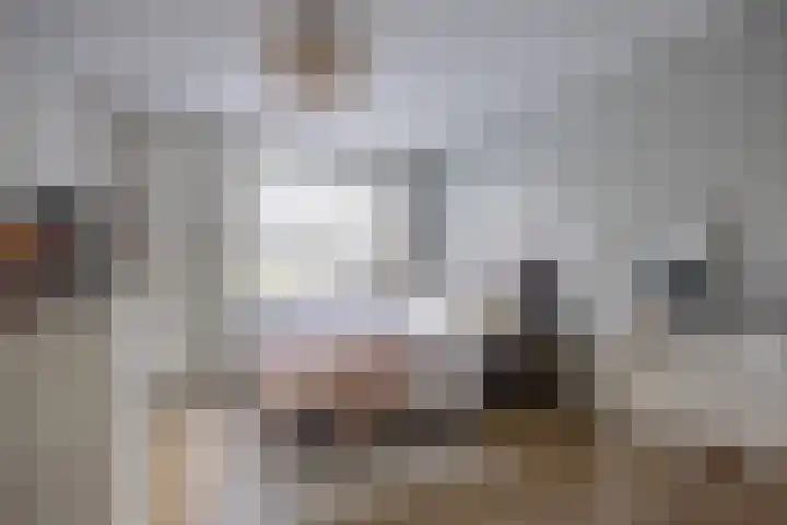 Vlet 17 Zuidhorn thumbnail 27