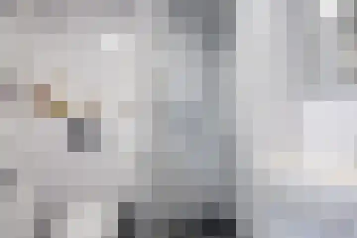 Vlet 17 Zuidhorn thumbnail 34