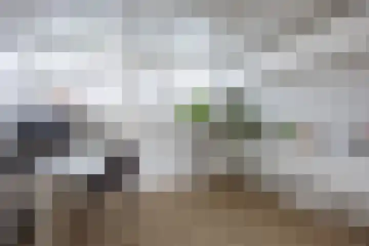 Vlet 17 Zuidhorn thumbnail 35