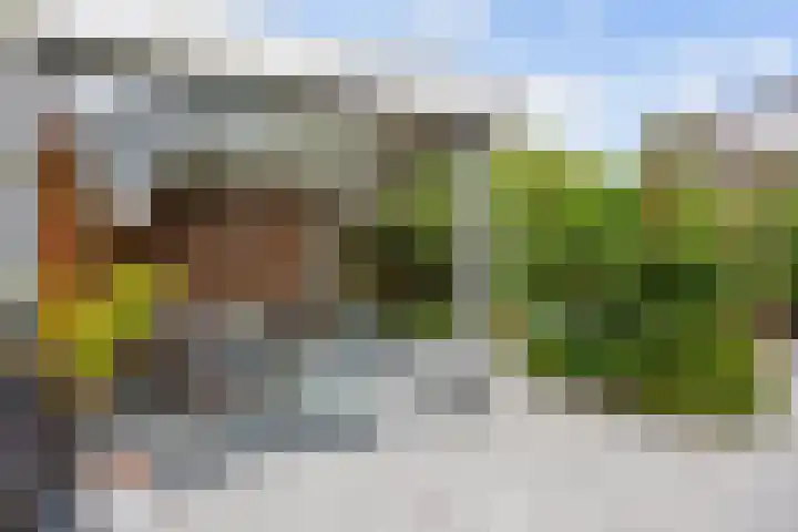 Vlet 17 Zuidhorn thumbnail 40