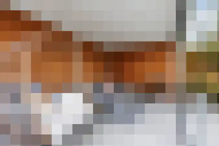 Vlet 17 Zuidhorn thumbnail 41