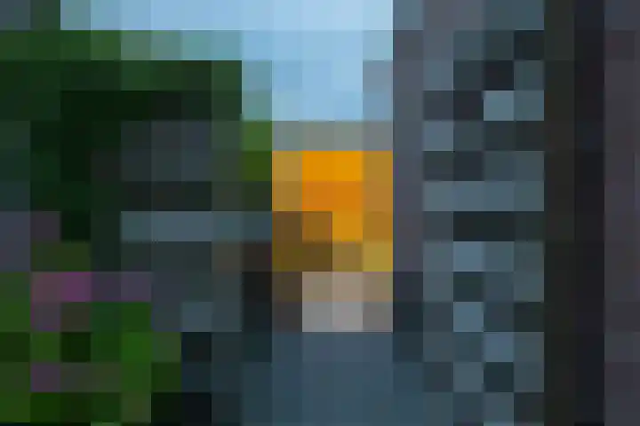 Vlet 17 Zuidhorn thumbnail 56