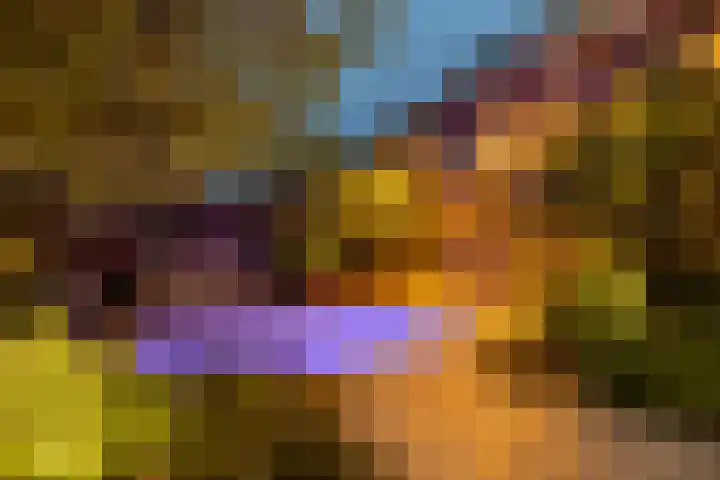 Vlet 17 Zuidhorn thumbnail 66
