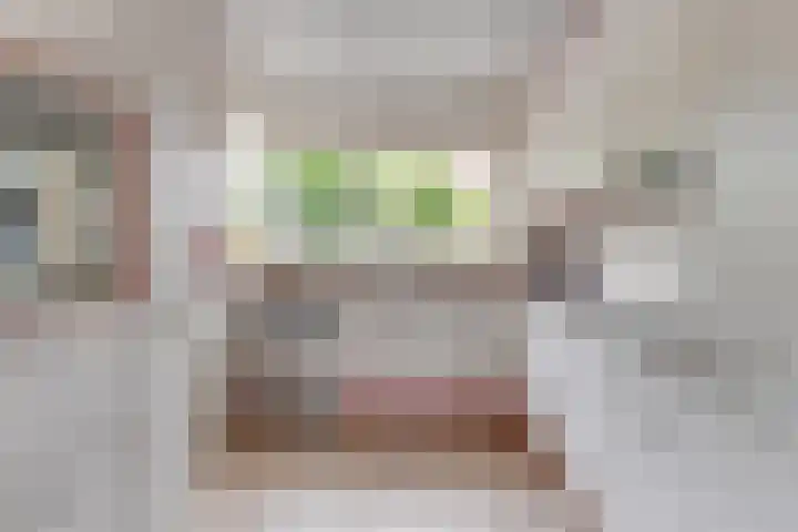 Vlet 22 Obdam thumbnail 14
