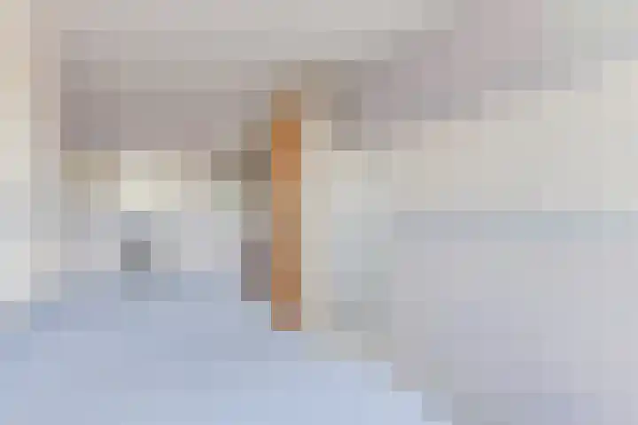 Vlet 22 Obdam thumbnail 29