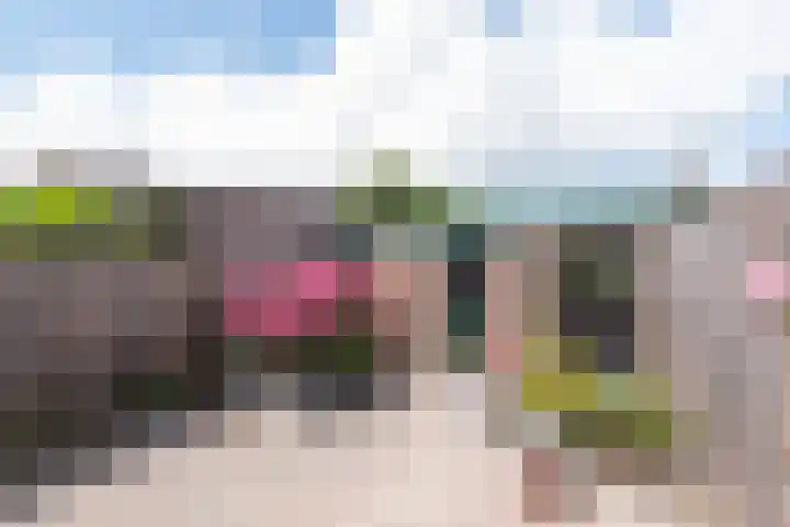 Vlet 22 Obdam thumbnail 40