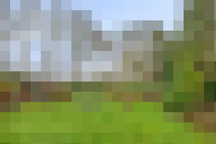 Vlet 22 Obdam thumbnail 41