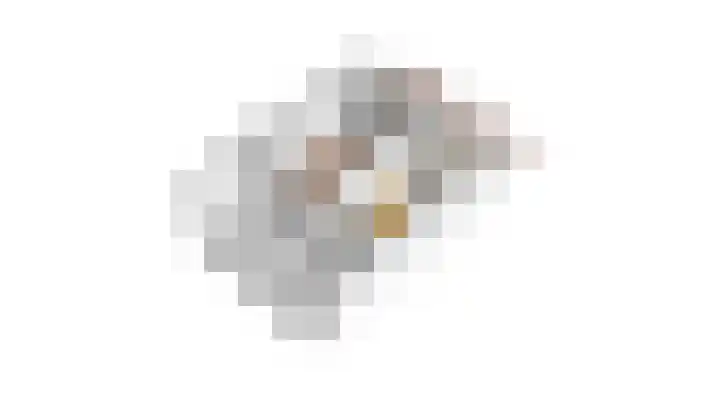 Vlet 22 Obdam thumbnail 59