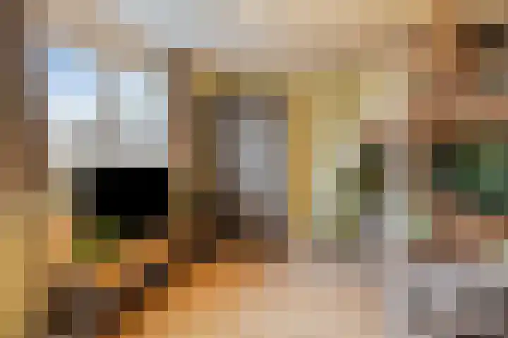 Vlet 26 Oude Wetering thumbnail 12