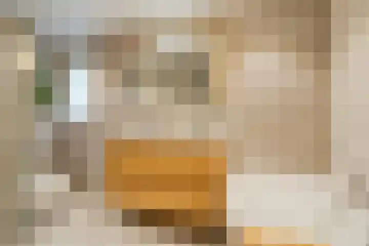 Vlet 26 Oude Wetering thumbnail 15