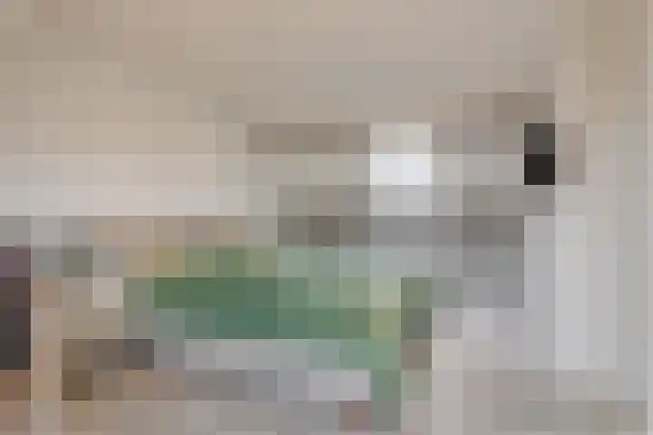 Vlet 26 Oude Wetering thumbnail 17