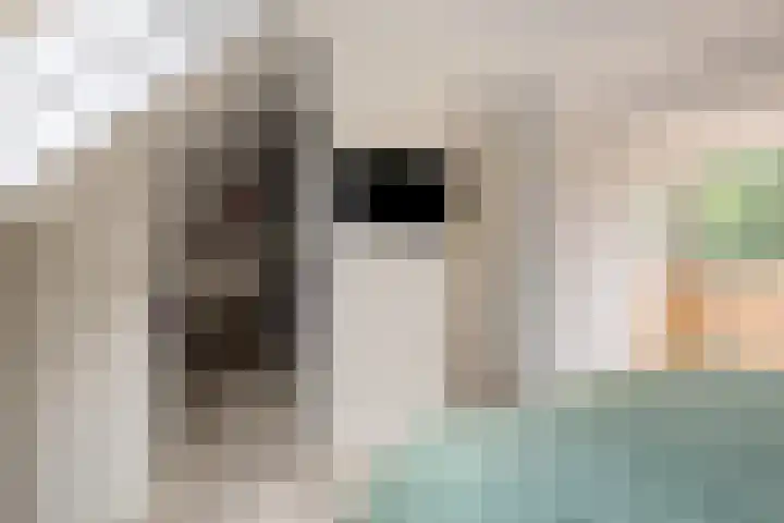 Vlet 26 Oude Wetering thumbnail 18
