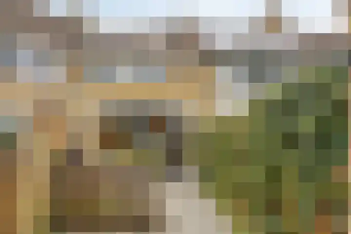 Vlet 26 Oude Wetering thumbnail 22