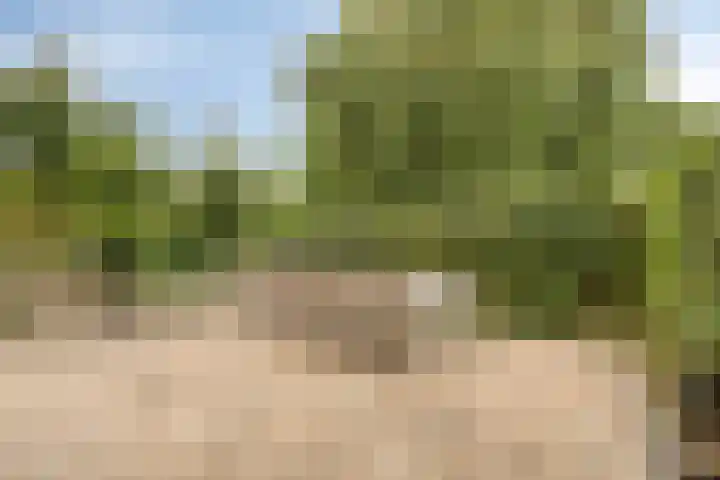 Vlet 26 Oude Wetering thumbnail 23