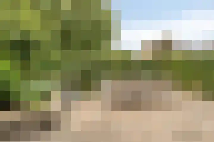 Vlet 26 Oude Wetering thumbnail 24