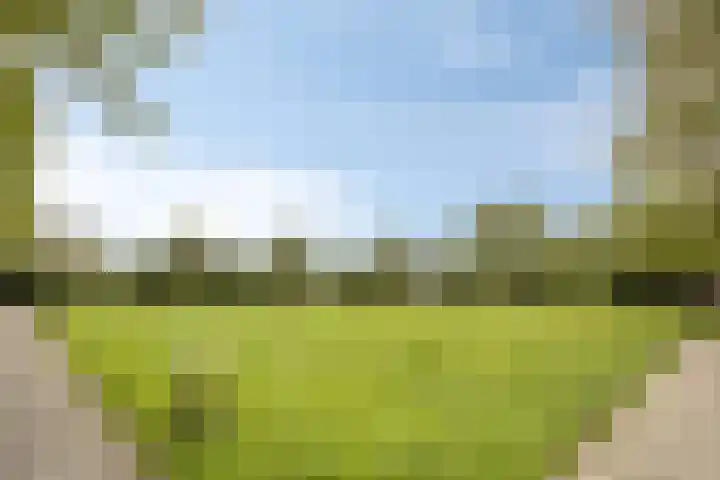 Vlet 26 Oude Wetering thumbnail 26