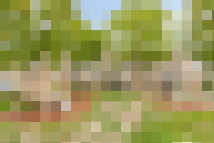 Vlet 26 Oude Wetering thumbnail 27