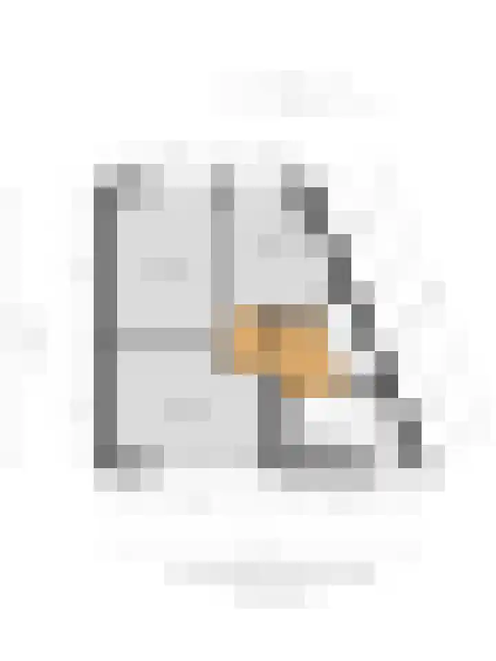 Vlet 26 Oude Wetering thumbnail 29