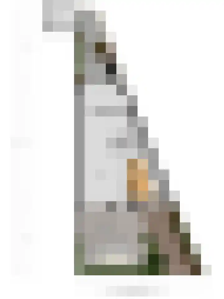 Vlet 26 Oude Wetering thumbnail 31