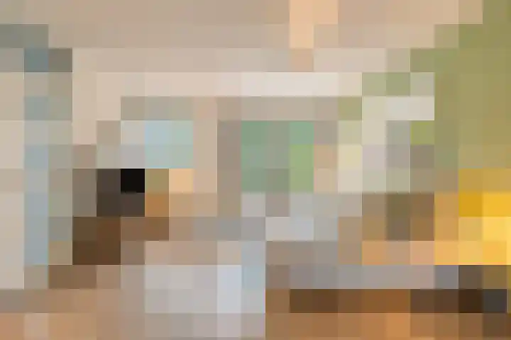 Vlet 26 Oude Wetering thumbnail 4