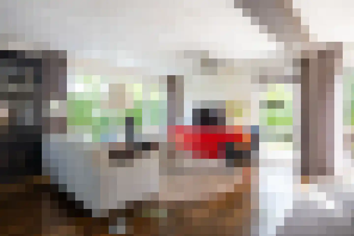 Vlet 4 Zuidhorn thumbnail 10