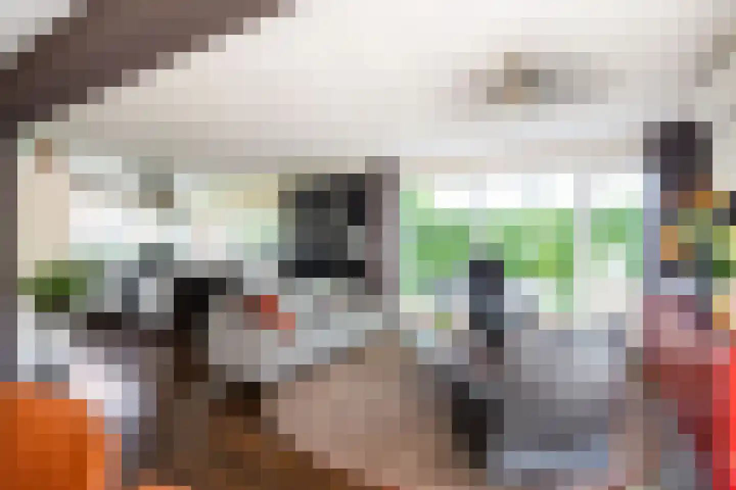 Vlet 4 Zuidhorn thumbnail 11