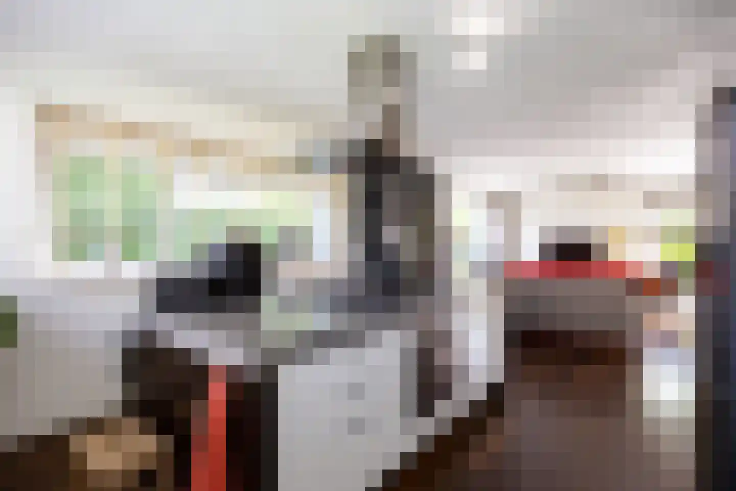 Vlet 4 Zuidhorn thumbnail 17