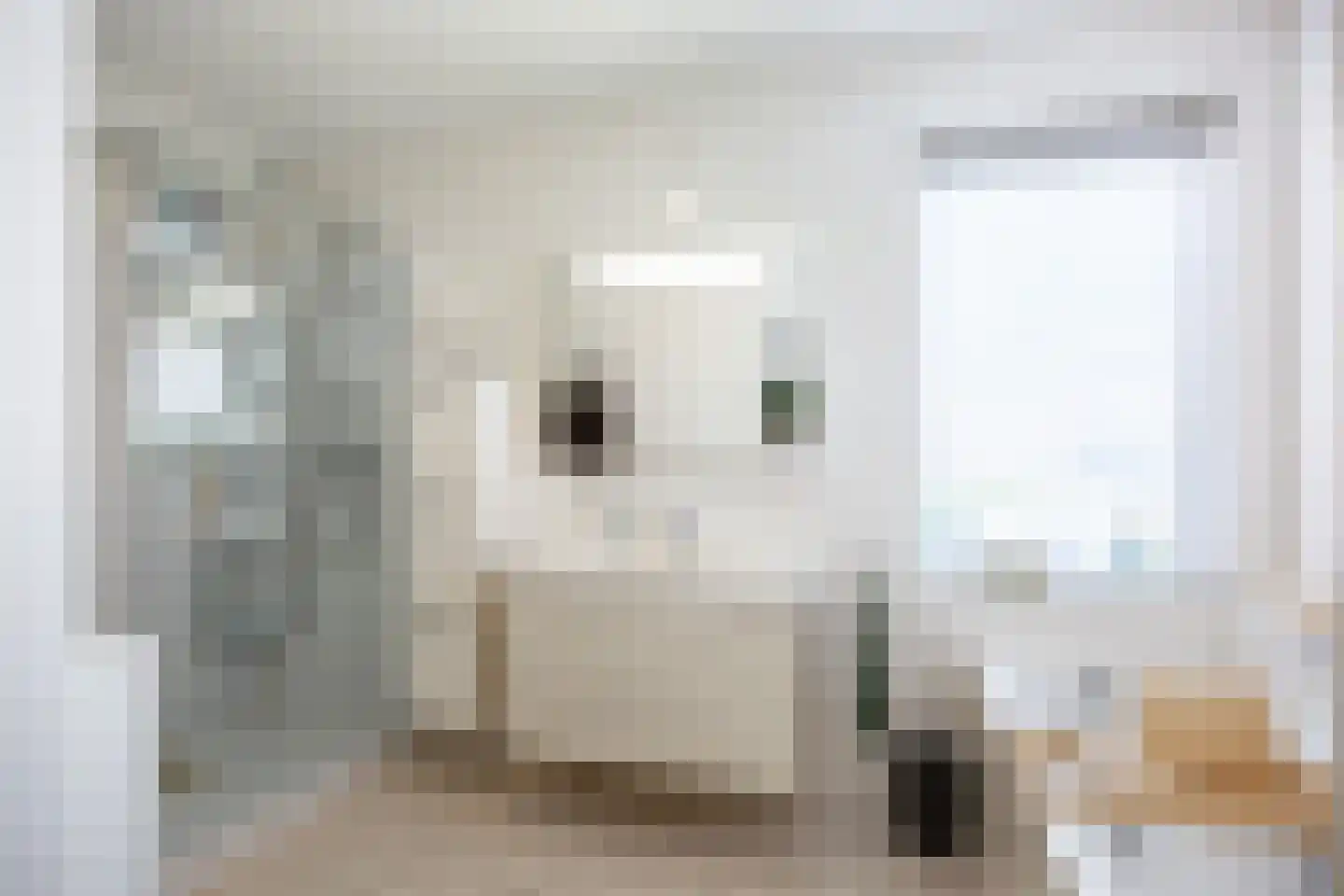 Vlet 4 Zuidhorn thumbnail 24