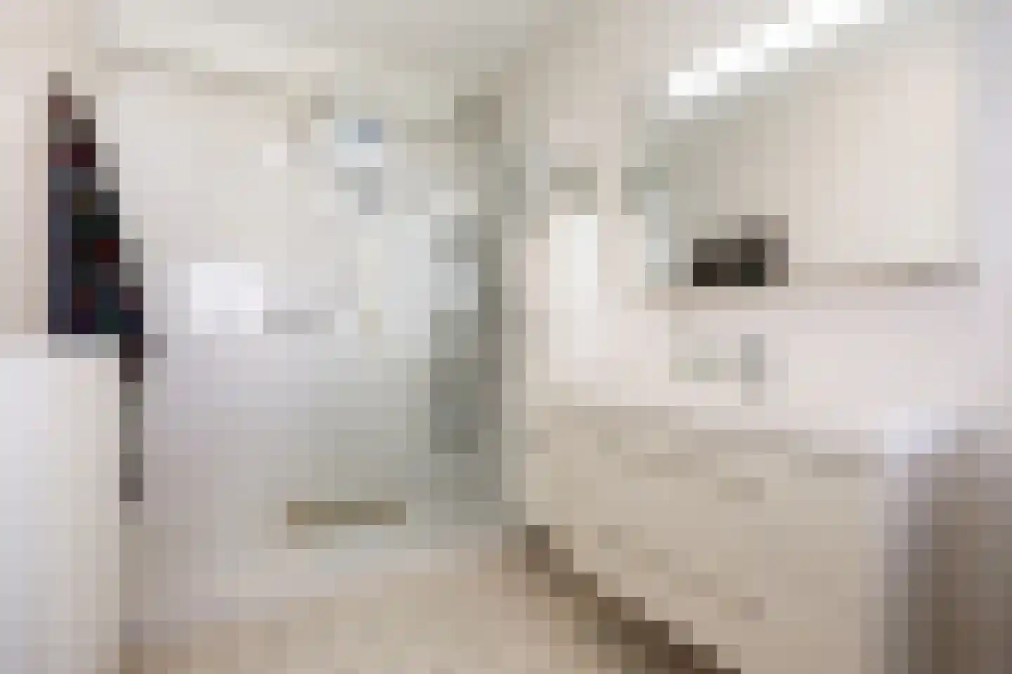 Vlet 4 Zuidhorn thumbnail 25