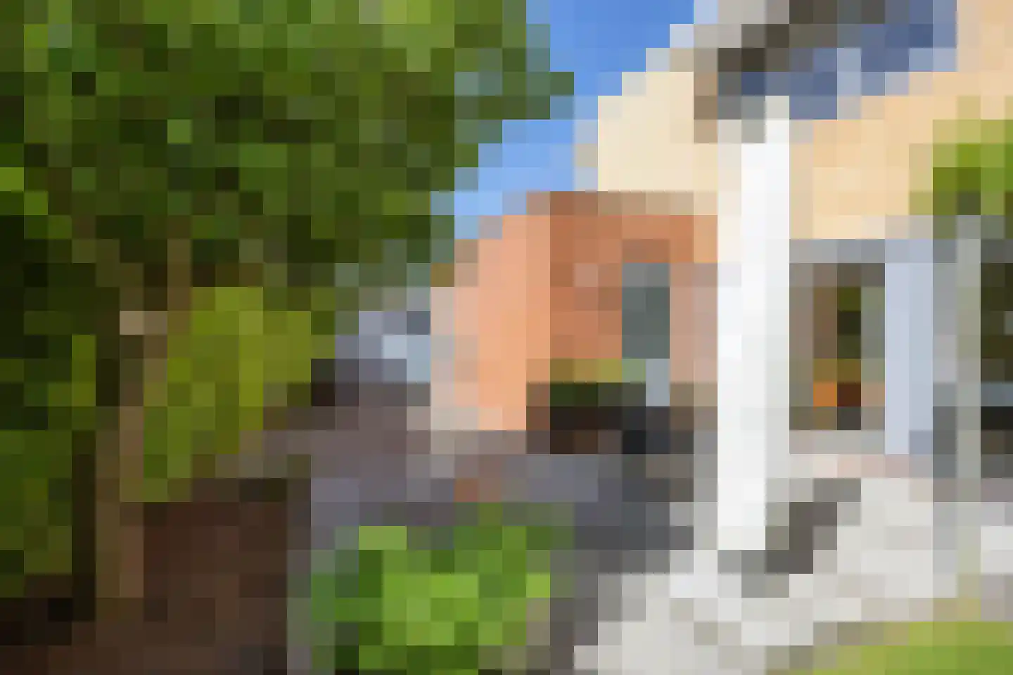 Vlet 4 Zuidhorn thumbnail 41