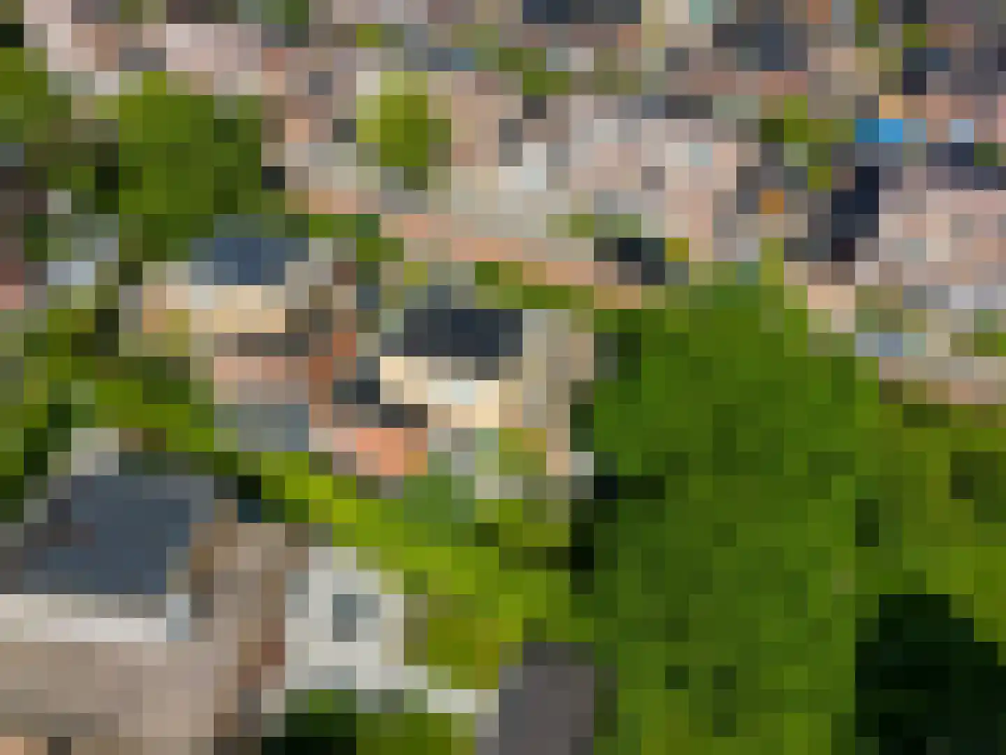 Vlet 4 Zuidhorn thumbnail 44