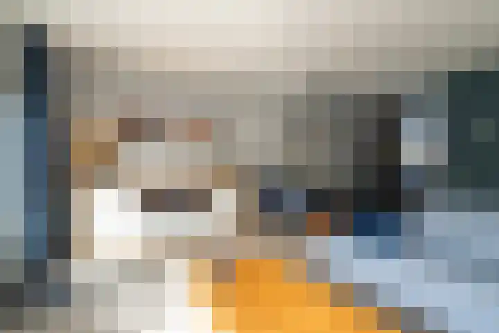 Vlet 41 Werkendam thumbnail 14
