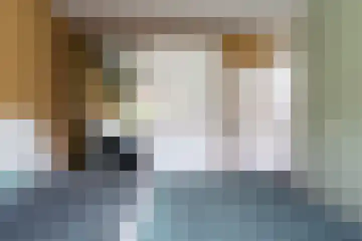 Vlet 41 Werkendam thumbnail 18