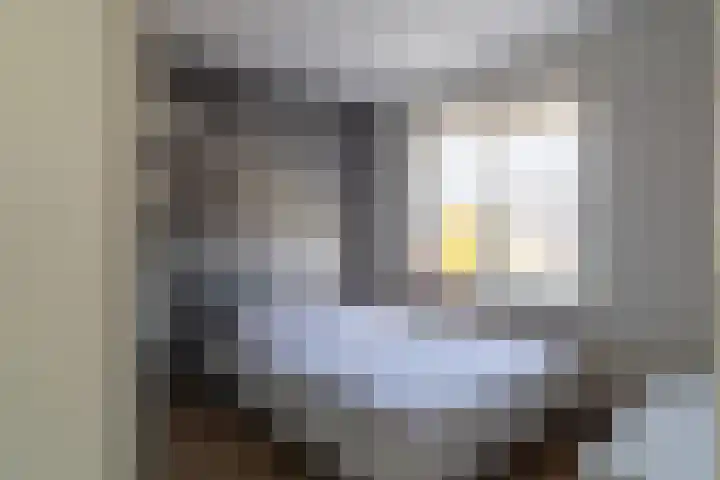 Vlet 41 Werkendam thumbnail 19