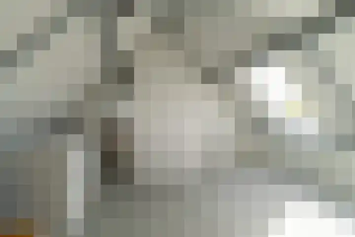 Vlet 41 Werkendam thumbnail 23