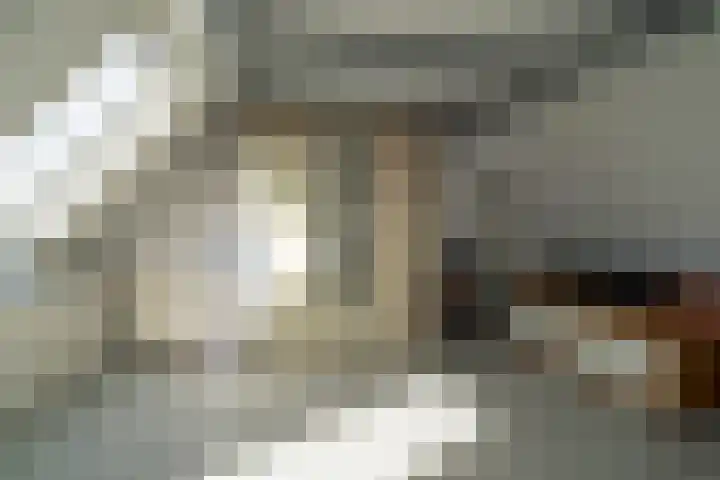 Vlet 41 Werkendam thumbnail 24