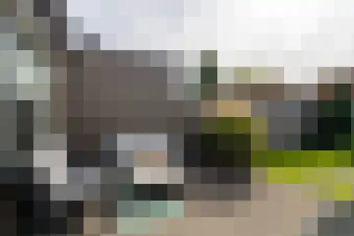 Vlet 41 Werkendam thumbnail 26