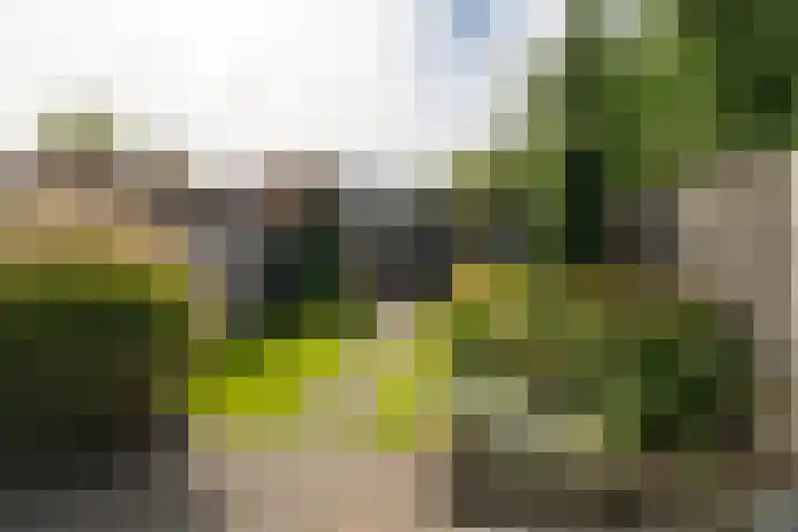 Vlet 41 Werkendam thumbnail 27